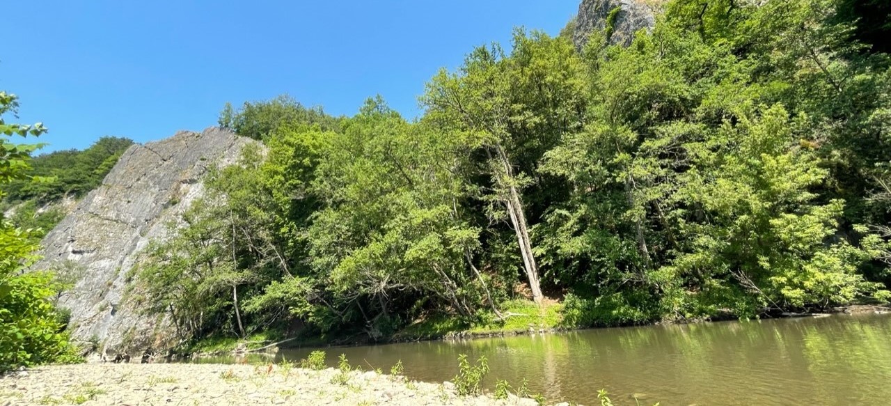 Vakantiehuis rivier